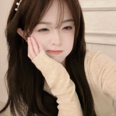 布偶绿野仙踪